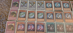 Yugioh Graydle Deck Core includes 3x Graydle dragon - Image 2