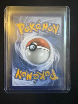Shuckle 136/132 Mega Evolution Illustration Rare NM Pokemon Card - Image 2
