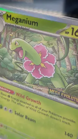 Meganium Pre Release Mega Evolutions Promo Card Pokemon TCG - Image 2