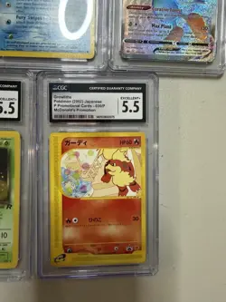 Lot 5 Graded Pokemon Cards BGS CGC 1st Ed Totodile Chansey Arbok Vintage - Image 4