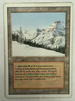 MTG: Taiga Revised Edition Card Magic The Gathering -MP - Image 1