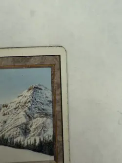 MTG: Taiga Revised Edition Card Magic The Gathering -MP - Image 5