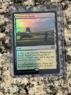 Windswept Heath - MH3 FOIL NM - Magic the Gathering MTG Single - Image 1
