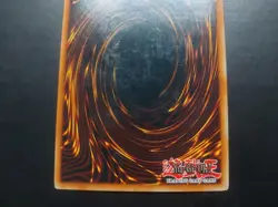 Yugioh - Neo-Spacian Aqua Dolphin POTD-EN003 Super Rare - Image 5