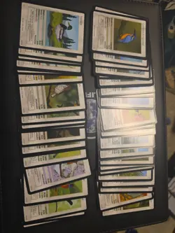 Life TCG 1st Edition Birds, Full Set Of Commons Cards #81-#130. All Pack Fresh. - Image 1