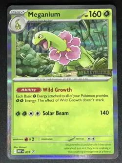 Meganium #001 STAMPED Promo Mega Evolution Pokemon Card TCG - Image 1