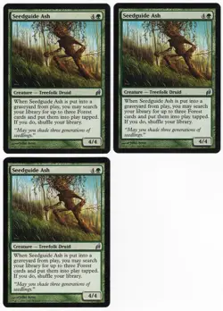 Seedguide Ash x3 3x 2007 Lorwyn Green Uncommon Creature MTG NM AZ1 - Image 1