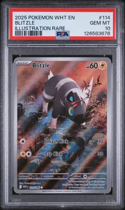 2025 POKEMON WHT EN-WHITE FLARE ILLUSTRATION RARE #114 BLITZLE PSA 10 - Image 1