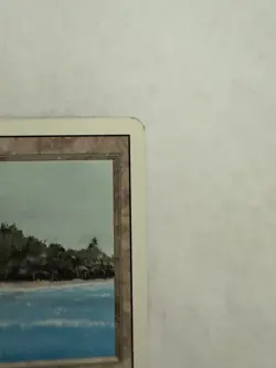 MTG: Tropical Island Revised Edition Regular Card - Image 2