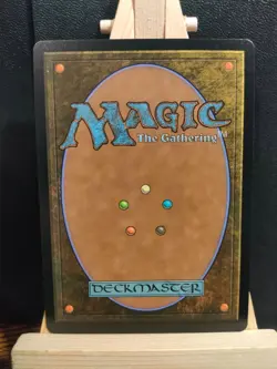 Misty Rainforest (Borderless) Special Guest - Tarkir Dragonstorm - NM - MTG - Image 2