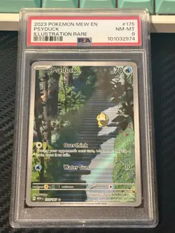 2023 Pokemon 151 EN Psyduck Illustration Rare PSA NM-MT 8 - Image 1