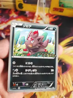 Pokemon Karte Card Zorua BW Promo DARK Rush Campaign Pack japanese NM - Image 2
