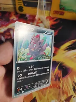 Pokemon Karte Card Zorua BW Promo DARK Rush Campaign Pack japanese NM - Image 3