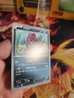 Pokemon Karte Card Zorua BW Promo DARK Rush Campaign Pack japanese NM - Image 5