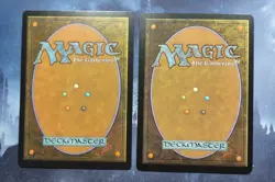 Verdant Catacombs Modern Horizons 2 and Overgrown Tomb Return To Ravnica - Image 2