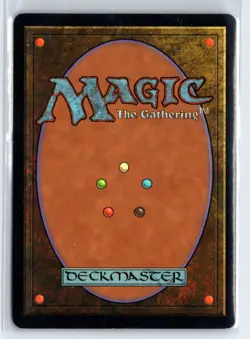 (2x) Skyshroud Archer Stronghold Common - MTG Magic the Gathering Card - Image 2