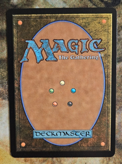 MTG Spider-Man FATAL PUSH 7020 Secret Lair Drop Bonus Card NM Non-Foil - Image 2