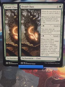 Druid Class (X2) Adventures in the Forgotten Realms Regular - Image 1