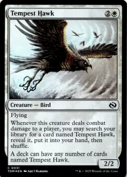 MTG Tempest Hawk Foil NM Tarkir: Dragonstorm Magic 31 - Image 1