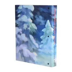 Pokemon Card Collection File Binder Hisuian Zorua Zoroark Pokemon Center New - Image 4