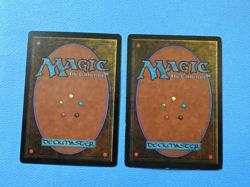 MTG Arabian Nights Edition, Rukh Egg and Dandan! 1993 Vintage Magic! - Image 2