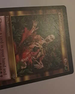 Cadaverous Bloom MP MTG Magic the Gathering Mirage - Image 3