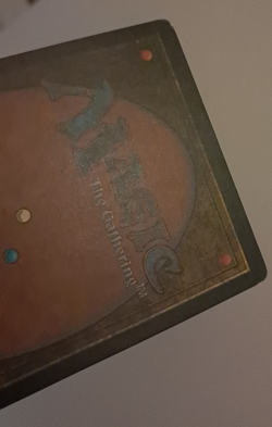 Cadaverous Bloom MP MTG Magic the Gathering Mirage - Image 5