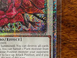 *** BLACK ROSE DRAGON *** QUARTER CENTURY SECRET RARE TN23-EN014 YUGIOH! - Image 4