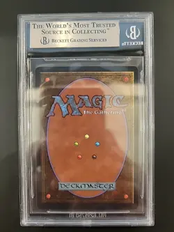 Singing Tree Arabian Nights BGS 9.5B MTG - Image 2