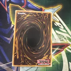 Yugioh! Apprentice Illusion Magician LEDD-ENA03 Ultra Rare 1st Edition VLP/NM - Image 3