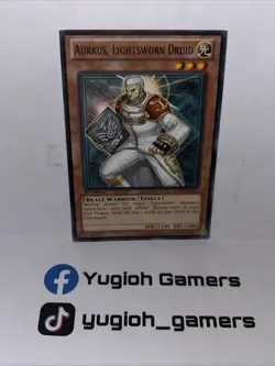 YU-GI-OH AURKUS LIGHTSWORN DRUID SDLI 1ST EDITION COMMON LIGHT PLAYED - Image 1