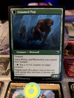 Magic the Gathering MTG Hound Tamer (187) Innistrad Midnight Hunt - Image 2