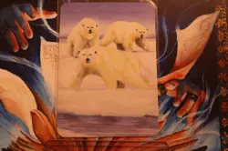 Polar Bears Ordinary Alpha Foil Sorcery Contested Realm - Image 2
