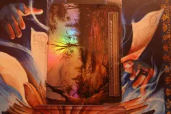 Quagmire Exceptional Alpha Foil Sorcery Contested Realm - Image 1