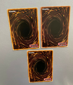 Rookie Fur Hire - PHRA-EN065 - Common - 1st Edition - NM - YuGiOh! X3 - Image 5