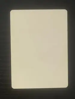Magic MTG Italian Revised Island Artist Proof Near Mint - Only 50 Exist! - Image 2