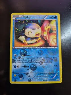 Piplup RC6/RC25 Pokemon Legendary Treasures Radiant Collection Holo MP - Image 1