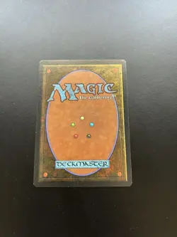 MTG Wall of Light Legends NM - Image 2