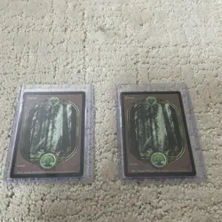 Lot of (2) Rare MTG Forest (UGL) Unglued Regular 1993 - Image 1