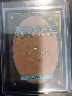 MTG Lush Portico Magic: The Gathering Murders at Karlov Manor Foil Rare #0263 - Image 2