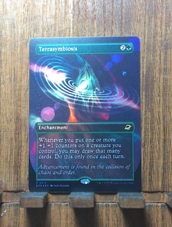 MTG🌳 Terrasymbiosis ( FOIL Borderless) Edge of Eternities NEAR MINT✨😍 - Image 2