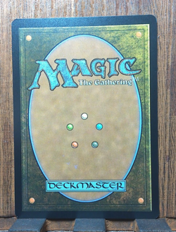 MTG🌳 Terrasymbiosis ( FOIL Borderless) Edge of Eternities NEAR MINT✨😍 - Image 3