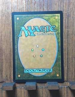 MTG🌳 Terrasymbiosis ( FOIL Borderless) Edge of Eternities NEAR MINT✨😍 - Image 4