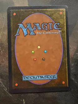 *** ARABIAN NIGHTS Erg Raiders (Light) *** NM-Mint! - DUTY FREE - Magic MtG - Image 2