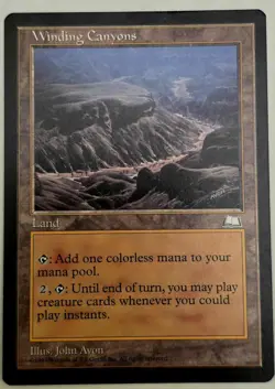 Magic The Gathering/Winding Canyons Weatherlight Reg/FREE SHIPPING! - Image 1
