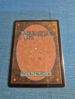 MTG LOTR Tom Bombadil FOIL SHOWCASE #331 Lord of the Rings Magic the Gathering - Image 2