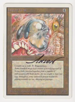 Signed Living Wall MP Unlimited Edition Artist Anson Maddocks 1993 MTG Magic! - Image 1