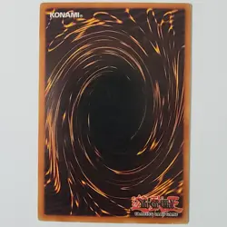 Frenzied Panda - LOB-081 - HP - Common - Unlimited - Yugioh 2010 Reprint - Image 2