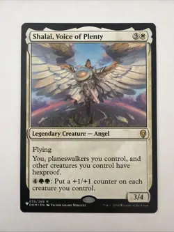 Shalai, Voice of Plenty The List Reprints Regular - Image 1