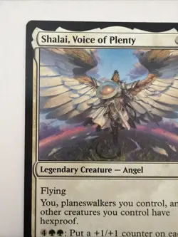 Shalai, Voice of Plenty The List Reprints Regular - Image 2